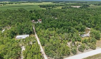 3210 50th St, Bell, FL 32619