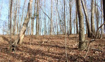 451 Johnson Rd, Albertville, AL 35951