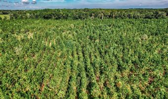 SW 120 Avenue, Archer, FL 32618