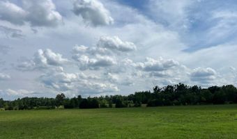 420 Sheffield Rd, Adamsville, TN 38310