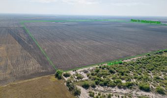 FM 665, Alice, TX 78332