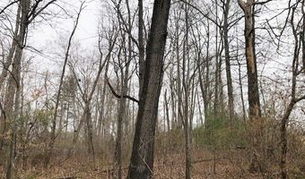 Della Lane lot 6 8, Austinville, VA 24312
