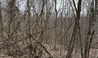 Malone Ridge Rd, Albany, KY 42602