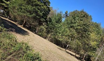 Sugar Tree Trail, Birchwood, TN 37308