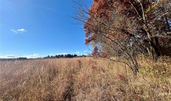 Tbd 125th Street, Alden, WI 54001