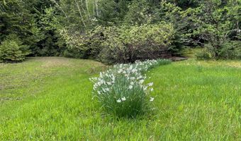 13818 Crystal Creek Ln, Bigfork, MT 59911