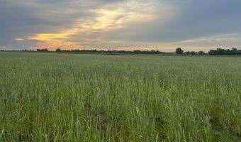 0 County Road 18, Ames, NE 68621