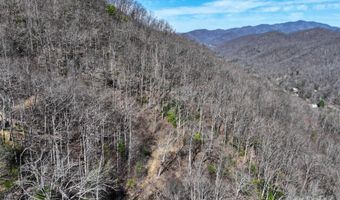 99999 Green Ridge Falls Rd 17, Barnardsville, NC 28709