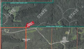 CR 557 40 Road, Arnold, MI 49819