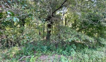 Bolivar Road, Benoit, MS 38725