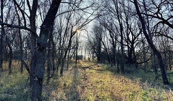 0002 CR-290, Asbury, MO 64832