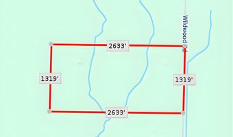 VL Wildwood Road, Alger, MI 48610