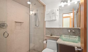 1024 E Cooper Avenue 3A, Aspen, CO 81611
