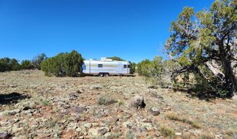 85 N 8522, Concho, AZ 85924