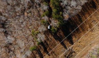 15548 Highway 15 N, Ackerman, MS 39735