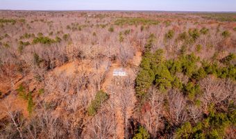 16353 Forest Service Rd 3174, Birch Tree, MO 65438