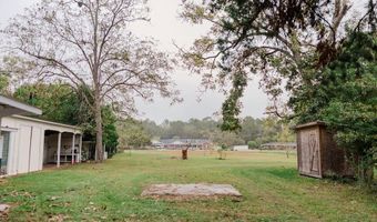 273 Holmesville Ave, Baxley, GA 31513