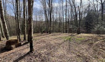 State Highway 30, Andes, NY 13731