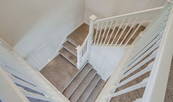 7411 Brava St, Carlsbad, CA 92009