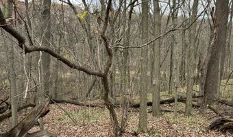 V/L Marshall Street, Allegan, MI 49010