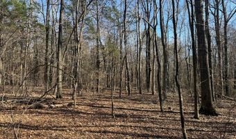 Cr 127, Abbeville, MS 38601