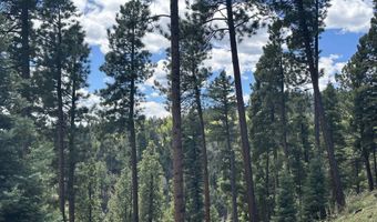 Lot 91ab Pam Coleman Drive, Angel Fire, NM 87710