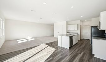 10644 Harlequinn Plan: Discovery, Adkins, TX 78101
