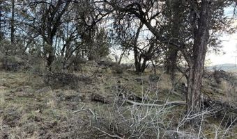 Prarie Dog Drive, Bonanza, OR 97623