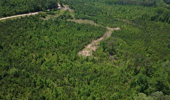 Tucker Road lot 13, Bath Springs, TN 38311
