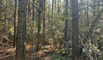 Watts Ln NW, Brookhaven, MS 39601