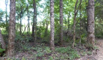 504 247 Country Rd, Bruce, MS 38915