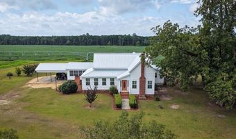 1814 Antioch-Greggs Rd, Adel, GA 31620