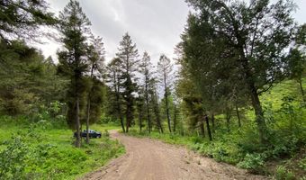 400 GROVER DRY FARM Rd, Afton, WY 83110