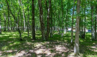 Mountain Road, Albrightsville, PA 18210