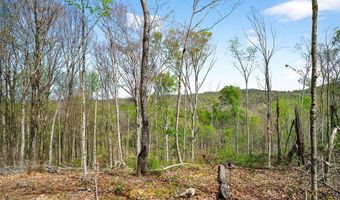 61 AC Hidden Cove Ln, Allons, TN 38541