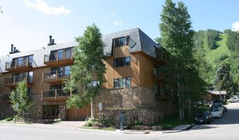 205 E Durant Ave 1-B, Aspen, CO 81611