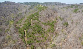 163 Acres Duck Springs Rd, Attalla, AL 35954