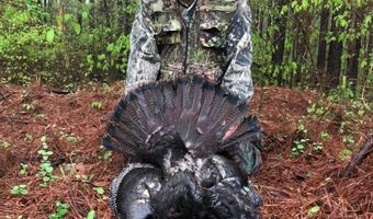 Hwy 9, Bruce, MS 38915