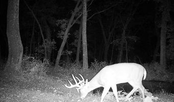 Simons Rd, Alma, WI 54610