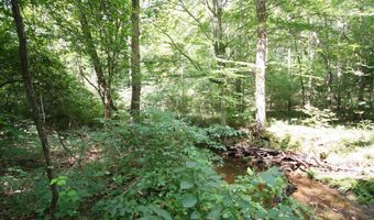TBA BETTYS BRANCH RD X, Arvonia, VA 23004