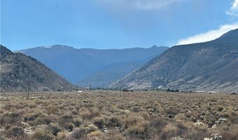 780 DAVIS MEADOW Trl, Dyer, NV 89010