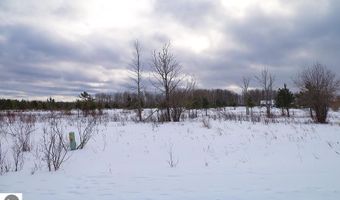 6436 Lora Bette Dr, Alanson, MI 49706