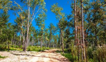 575 Rabbit Pen Dr, Appling, GA 30802