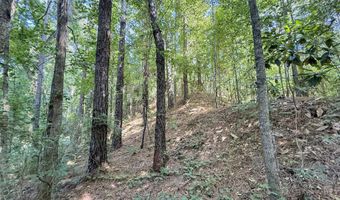 2435 Brignall Rd, Brookhaven, MS 39601