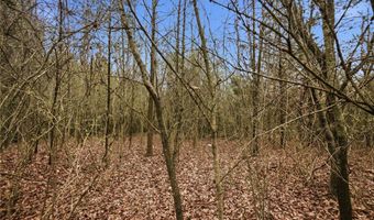Bell Road, Belton, SC 29627