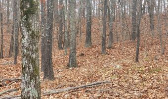 Tbd County Road East 76-211, Ava, MO 65608