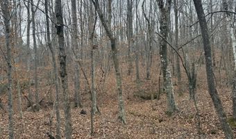 HARDWARE RD lot 2, Arvonia, VA 23004