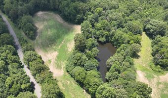 Hwy 1591, Bardwell, KY 42023