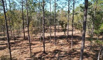 93 RD Ter, Archer, FL 32618