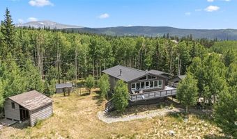 133 GOLD RUN Rd, Alma, CO 80440